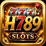 H789 Game